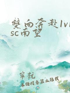 双向奔赴1v1sc南望