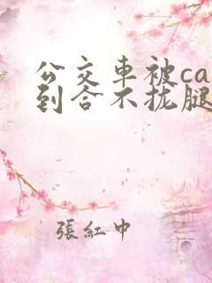 公交车被cao到合不拢腿视频