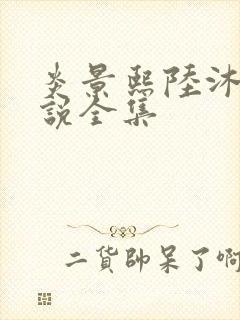 炎景熙陆沐擎小说全集