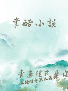 掌酷小说