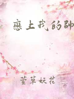 恋上我的帅和尚