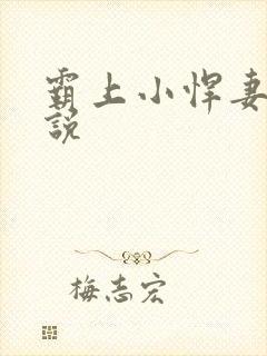 霸上小悍妻 小说