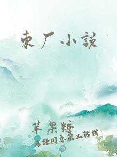 东厂小说