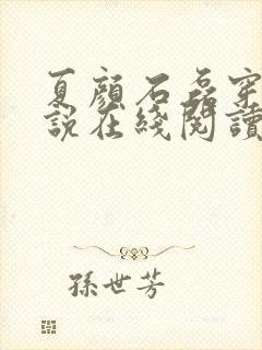 夏颜石磊穿越小说在线阅读