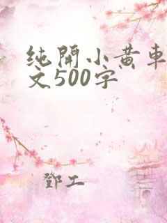 纯开小黄车小短文500字