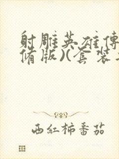 射雕英雄传(新修版)(套装共4本) 小说