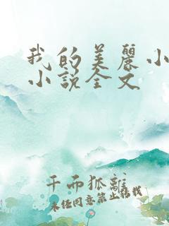 我的美丽小后妈小说全文