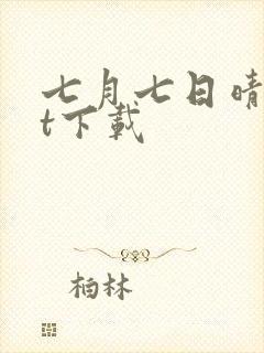 七月七日晴txt下载