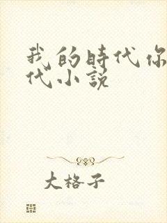 我的时代你的时代小说