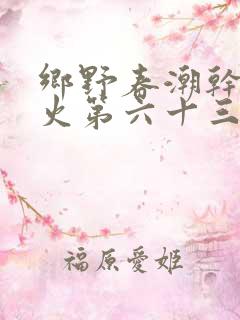 乡野春潮干柴烈火第六十三章