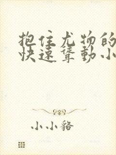 抱住尤物的翘臀快速耸动小说