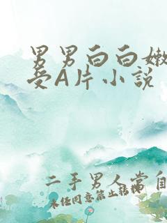 男男白白嫩嫩小受A片小说