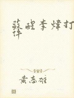 苏醒李炜打架事件