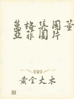 万格集团董事李亚菲图片