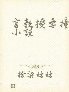 言教授要撞坏了小说