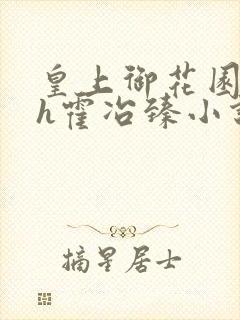 皇上御花园hlh霍冶臻小说