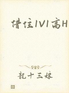 借住1V1高H