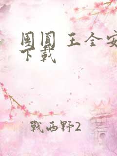 团圆 王全安 下载