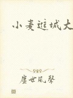 小麦进城大结局