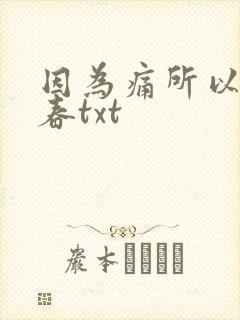 因为痛所以叫青春txt