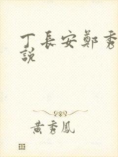 丁长安郑秀兰小说