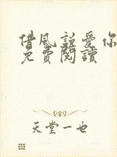 借风说爱你小说免费阅读