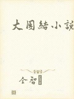 大团结小说阅读