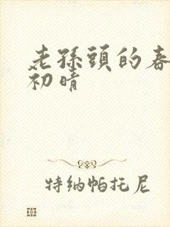 老孙头的春天林初晴