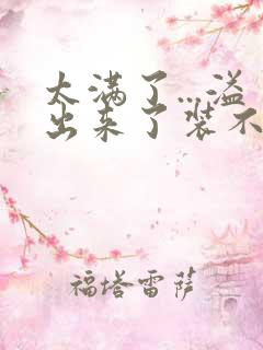 太满了...溢出来了装不下了