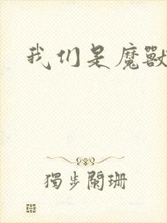 我们是魔兽玩家