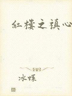 红楼之禛心锁玉