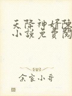 天降神婿陈黄皮小说免费阅读