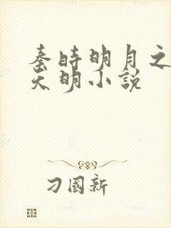 秦时明月之夜尽天明小说