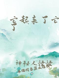 它起来了它想你了