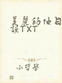 美丽的他日剧小说TXT