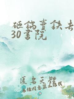 砸锅卖铁去上学30书院