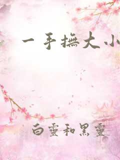 一手抚大小说