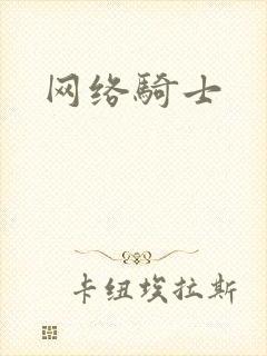 网络骑士
