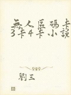 无人区码卡二卡3卡4卡小说