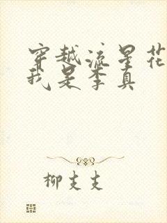 穿越流星花园之我是李真