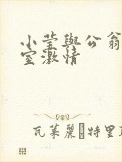 小莹与公翁办公室激情