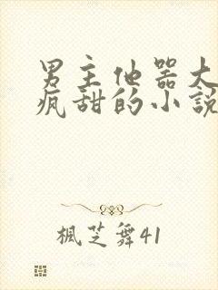 男主他器大活好疯甜的小说