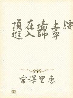 顶在墙上腰一沉进入师尊