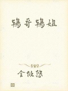 鸨哥鸨姐
