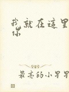 我就在这里要了你