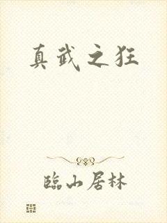 真武之狂