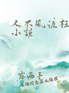 人不风流枉少年小说