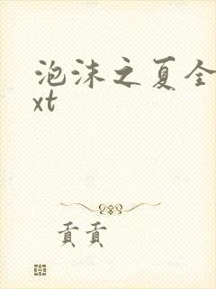 泡沫之夏全集txt