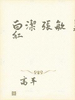 白洁 张敏 美红