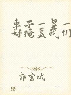 车子一晃一晃正好掩盖我们什么